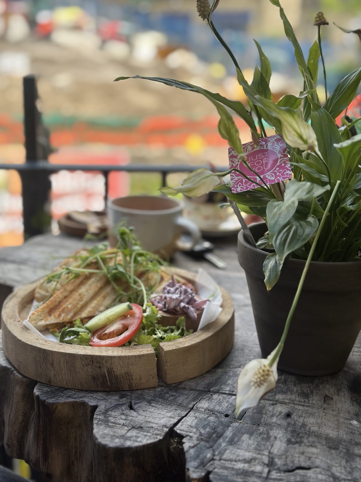 A rustic Hideout toastie with salad